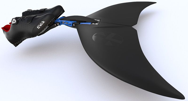 Des branchies imprimées en 3D aux dictionnaires AI Dolphin, ces innovations pourraient nous faire ressembler davantage à Aquaman