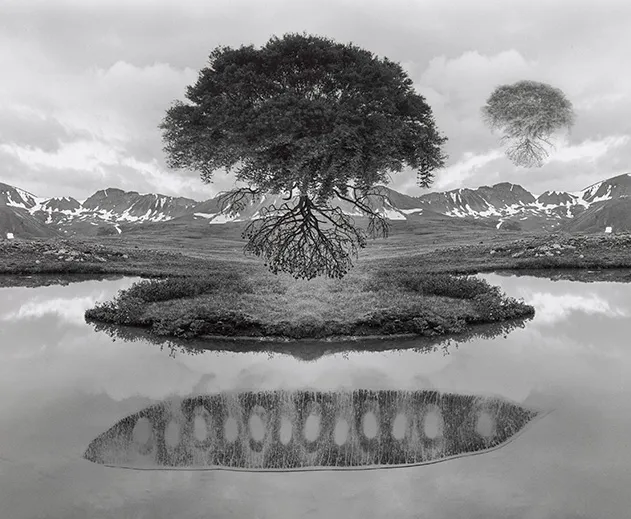 Arbre