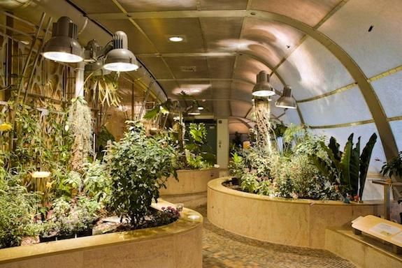 Au cas où le soleil oublierait de se montrer, rendez-vous à l'intérieur pour une dose de paradis dans le Pavillon des Papillons.