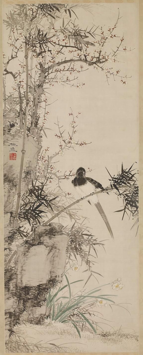 Prune, Narcisse