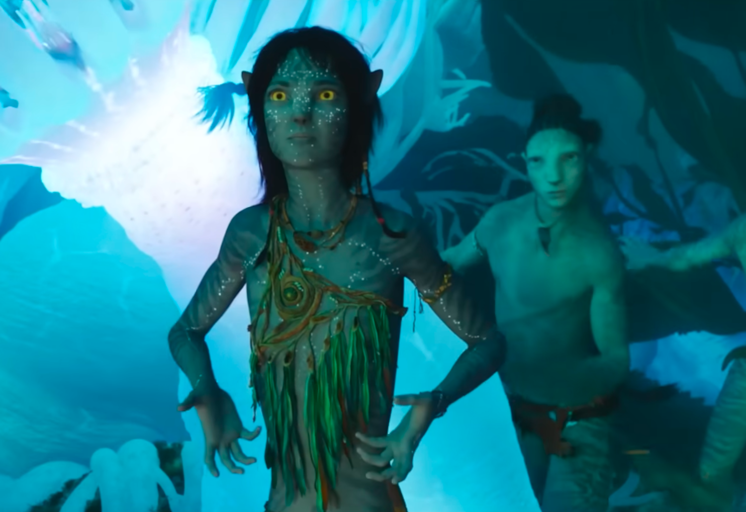 avatar tournage reprend