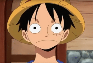 one piece light novel